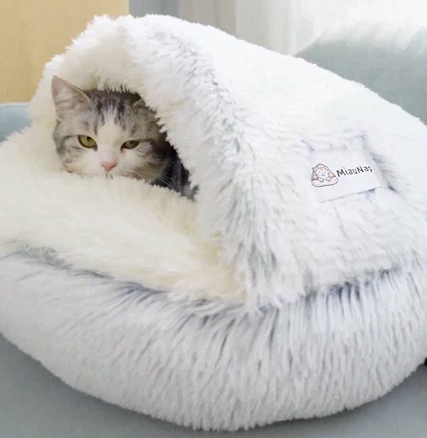MiauNap™ – La Niche Design et Apaisante pour Chats Exigeants