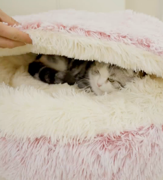 MiauNap™ – La Niche Design et Apaisante pour Chats Exigeants